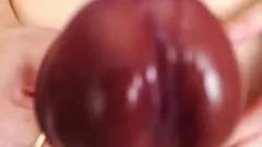 enormous dong Ladyboy Pornstar web camera