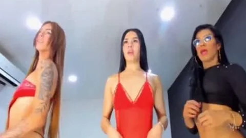three-some In A Regular Erotic Day