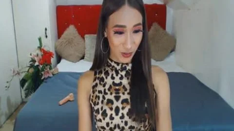 Skinny asian shemale excellent Camshow
